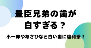 豊臣兄弟の歯が白すぎる？小一郎やあさひなど白い歯が違和感！